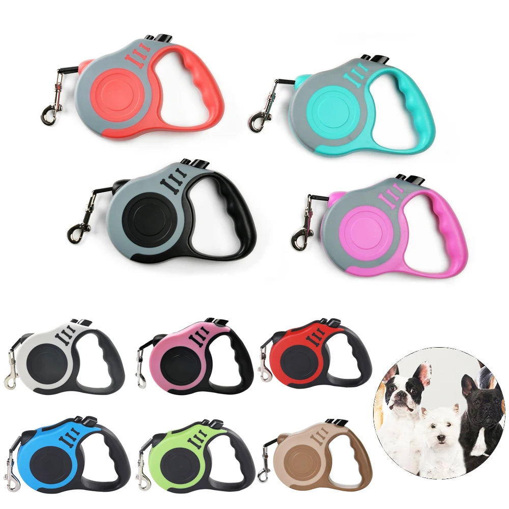 Laisse rétractable 5 m pour chien