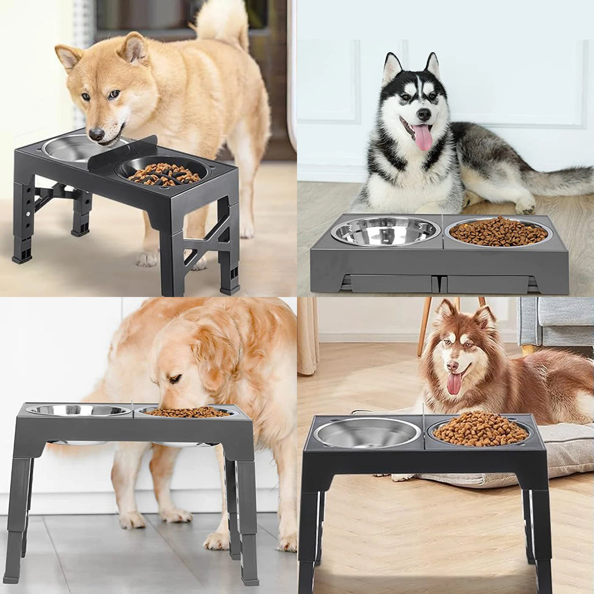 Gamelles surélevées réglables pour chien