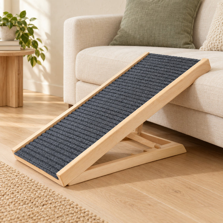 Photo d’ambiance — Rampe pliable en bois pour chien